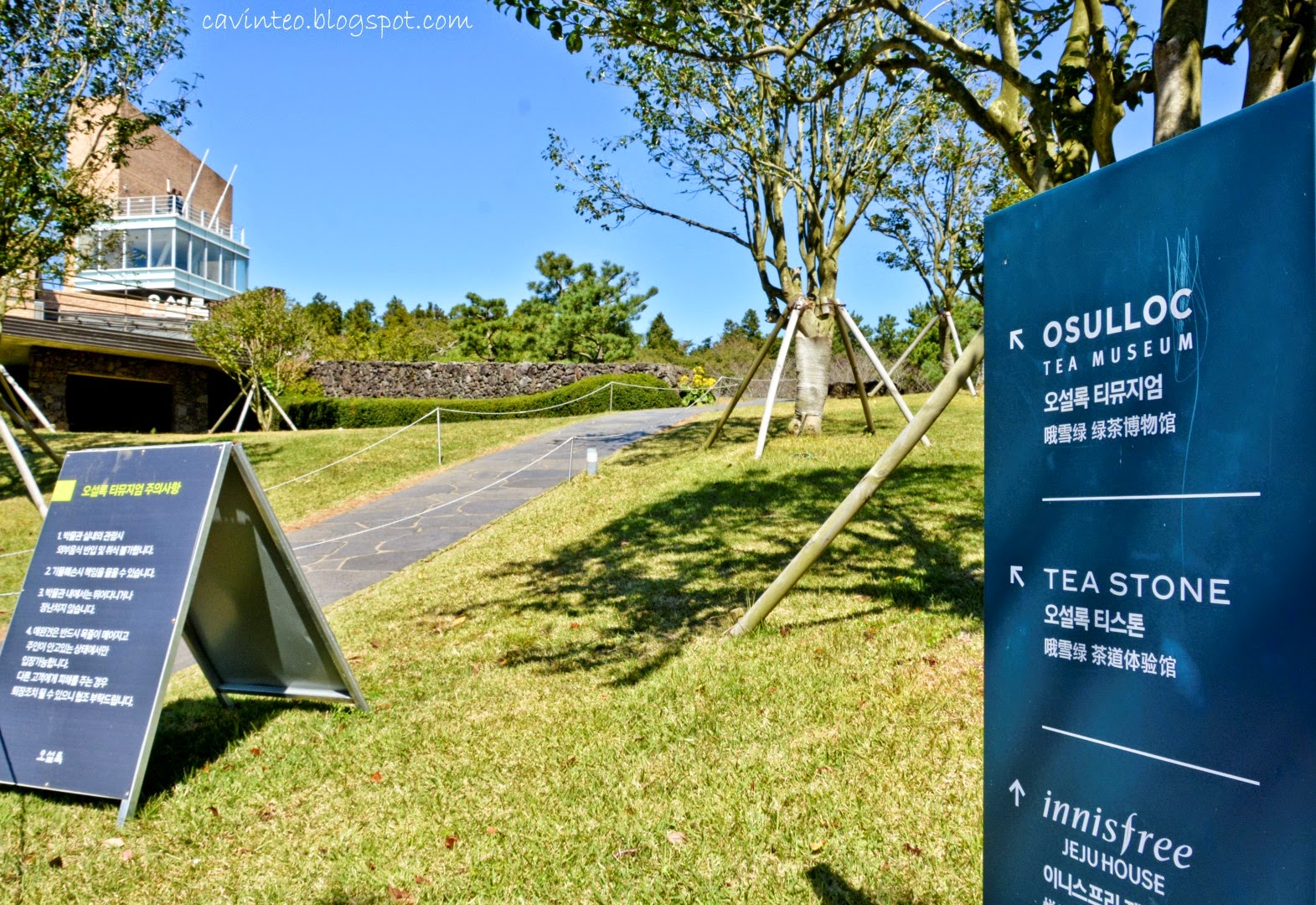 Entree Kibbles The Best Green Tea Latte OSulloc Tea Museum [Jeju